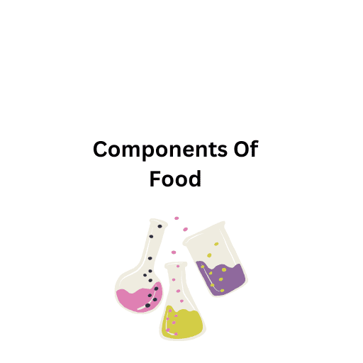 Components Of Food   